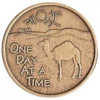 (image for) One Day At a Time Camel Medallion