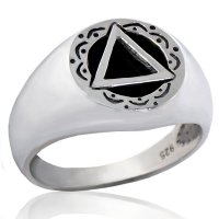 (image for) Silver Detailed Men's AA Ring with Onyx