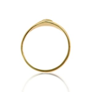 (image for) Petite Gold NA Symbol Ring