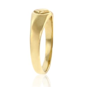 (image for) Petite Gold NA Symbol Ring