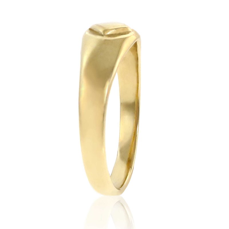 (image for) Petite Gold NA Symbol Ring