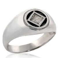 (image for) Silver Unisex Classic NA Ring