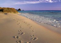 (image for) Never Alone Card